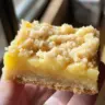 Delicious lemon crumb bars with a crumbly topping and fresh lemon slices.