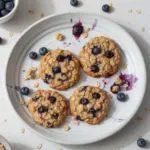 Freshly baked classic blueberry oatmeal cookies on a plate